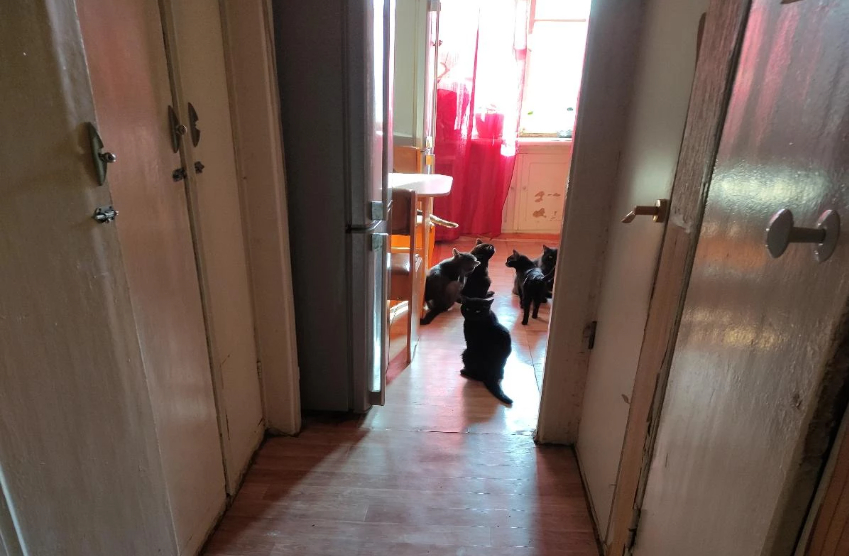 УФССП по НСО