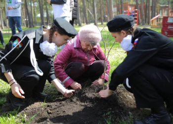 Сад памяти в Обских зорях: 27 лип в память о 27 миллионах погибших в годы войны