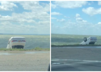 Елена Станкевич