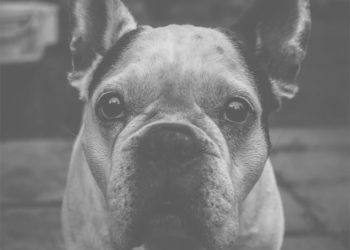 Иван Щетинин / НДН.инфо