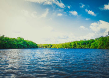 unsplash.com/Gláuber Sampaio