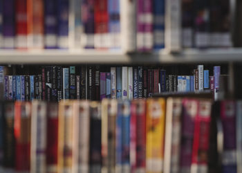 unsplash Paul Schafer