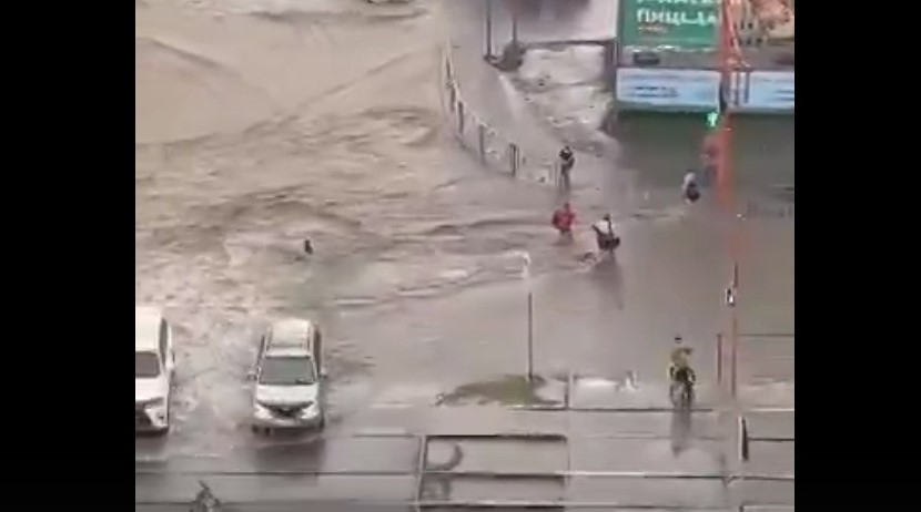 стоп-кадр видео