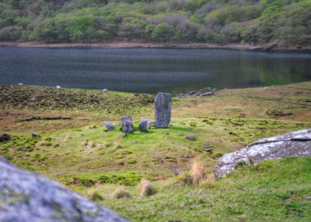 unsplash.com/Andreas Brunn/ иллюстративное фото