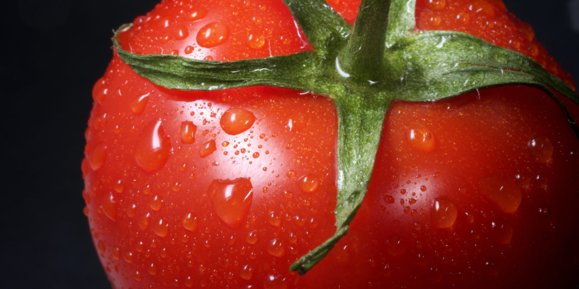 unsplash.com/Immo Wegmann