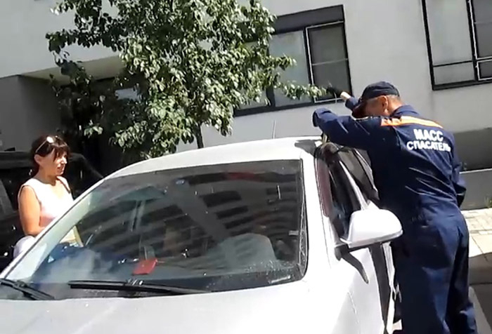 стоп-кадр видео