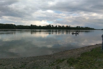 СУ СК РФ по Алтайскому краю