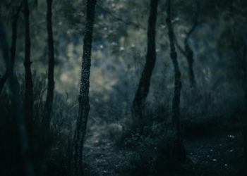 unsplash.com/Tolga Ahmetler