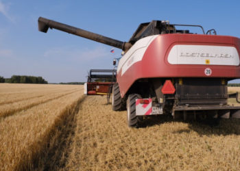 Уборочная кампания в Новосибирской области идёт высокими темпами