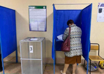 Четыре участка для голосования по референдумам откроют в Новосибирской области