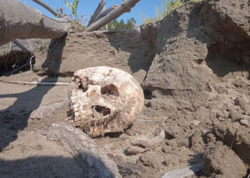 Вячеслав Карманов