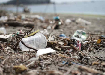 UNSPLASH.COM / OCG SAVING THE OCEAN