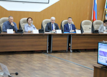 Бердских депутатов попросили «не гнать гусей» при назначении нового мэра