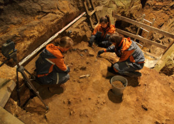 Находки из Денисовой пещеры на Алтае исследуют в лаборатории шведского нобелевского лауреата