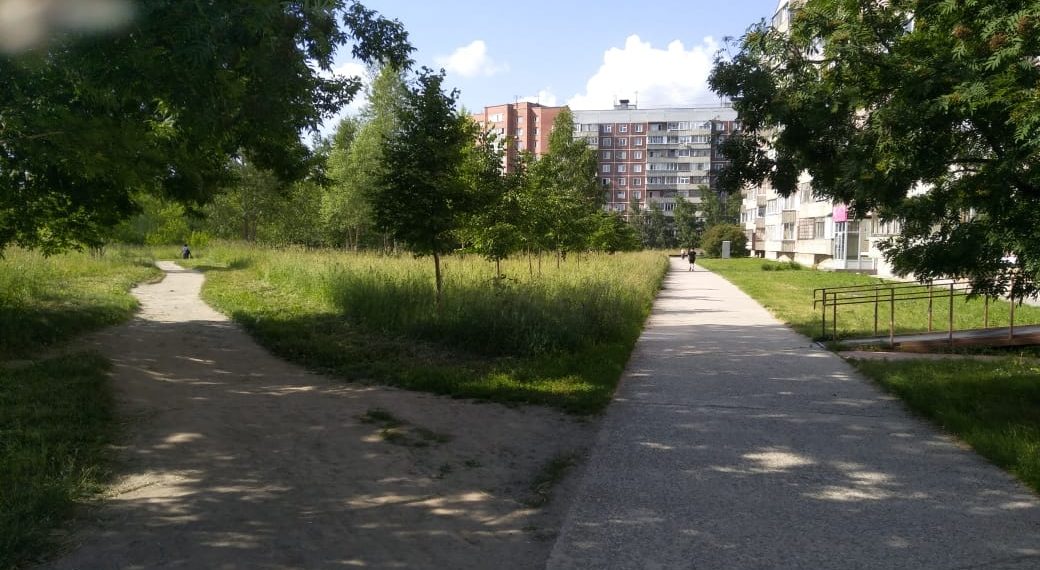 Бастрыкина заинтересовала ситуация с продажей сквера на Демакова в Академгородке