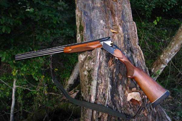 За убийство лося жителя НСО отправили на исправительные работы