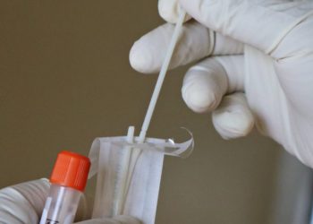 Рост количества ковидных больных ожидают в Новосибирской области