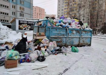 Определись три претендента на строительство мусорных полигонов в Новосибирской области