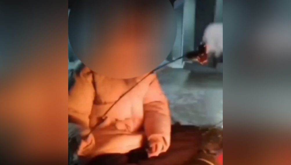 Алтайские школьницы подожгли гвоздику Вечным огнем — их ищет полиция