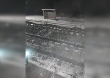 Мужчину и женщину насмерть сбил грузовой поезд под Новосибирском