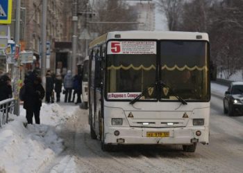 Для замены 400 изношенных новосибирских автобусов понадобится 6,4 млрд рублей