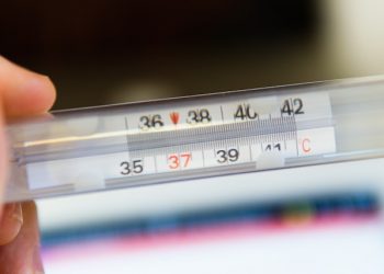 В Красноярском крае впервые за последние 10 лет выявили заражение туляремией