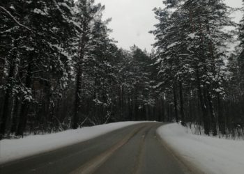 Вильфанд предупредил новосибирцев о морозах в новогоднюю ночь — 2023