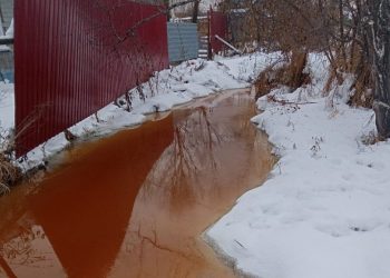 Инспектор взял пробу реки Coca-Cola в Дзержинском районе Новосибирска