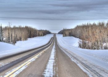 Резервировать даты для пересечения границы на машине предложили в Госдуме