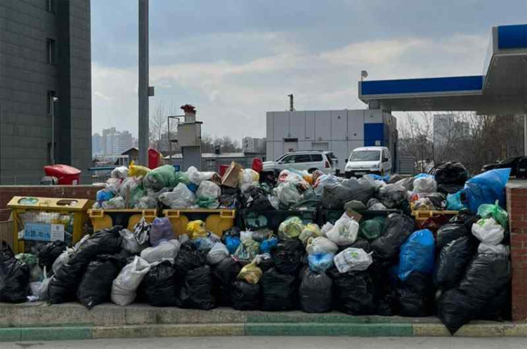 Глава Росприроднадзора назвала Новосибирскую область одним из самых «замусоренных» регионов