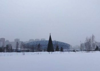 Новая система мобильной связи для «Новосибирск Арена» стала самым крупным телеком-объектом МегаФона в регионе