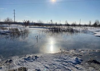 Зловонное озеро загадочно появилось возле сельсовета под Новосибирском