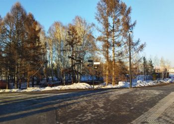 Терешкова пообещала новосибирцам огромный парк в 370 га на левом берегу