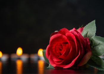 Больше 2500 человек умерли в Новосибирской области в феврале