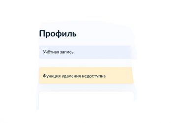На Госуслугах пропала возможность удалить профиль