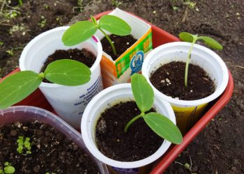 Майские праздники — 2023: сколько выходных ждет россиян