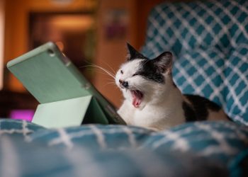 Назван топ самых скучных профессий в Новосибирске