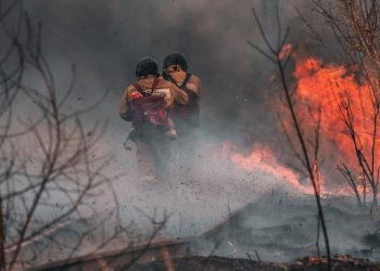 С начала пожароопасного сезона в Новосибирской области произошло 11 крупных возгораний