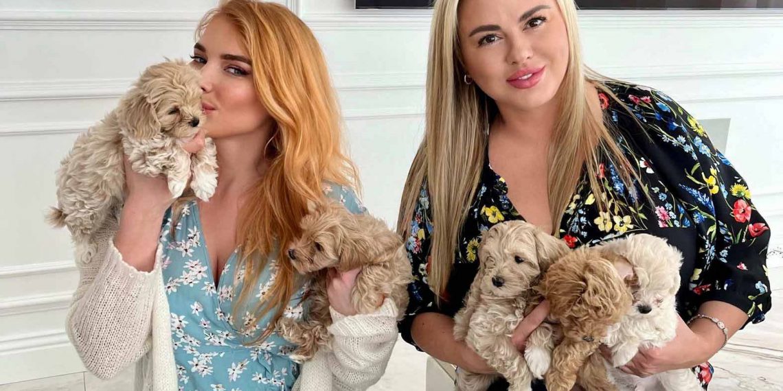 «Собачья сделка» Семенович и Котовой