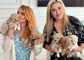 «Собачья сделка» Семенович и Котовой