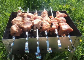 Новосибирцев предупредили о штрафах в 20 тысяч рублей за шашлыки на мангале