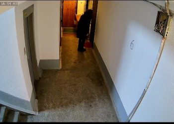 Сосед-барабанщик терроризирует жителей дома в Новосибирске