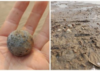 В Новосибирской области туристы нашли артефакт возрастом более 300 лет