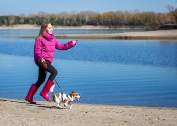 Квартиры от 2,6 миллиона: чем еще интересен квартал «Сосновый бор»