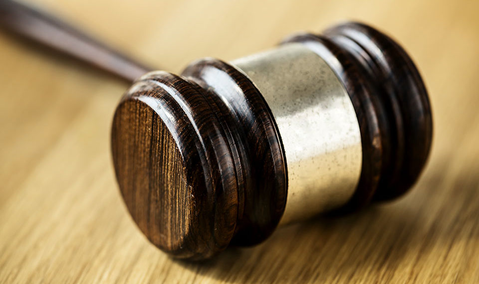 В Новосибирске на торги выставлен сибирский филиал Всероссийского НИИ зерна