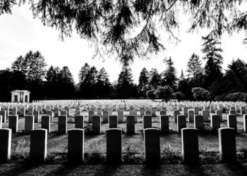 Избил молотком и двумя лопатами: новосибирец прикончил друга по пути на кладбище