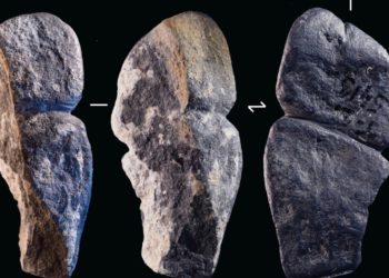 Археологи из Новосибирска нашли самое древнее изображение фаллоса возрастом 42 тысячи лет