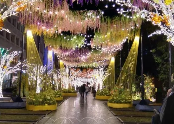 В Новосибирске восстановили цветочную инсталляцию на улице Ленина