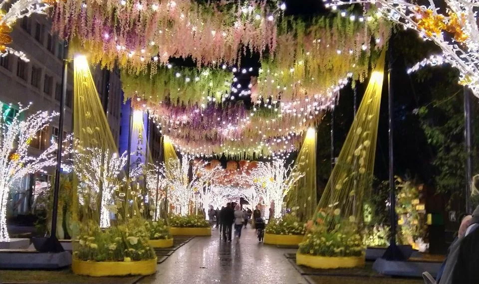 В Новосибирске восстановили цветочную инсталляцию на улице Ленина