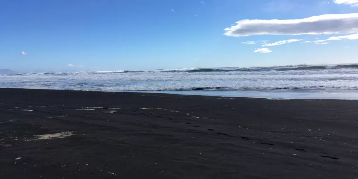 Цифровые решения помогут сохранить экологию Тихоокеанского побережья